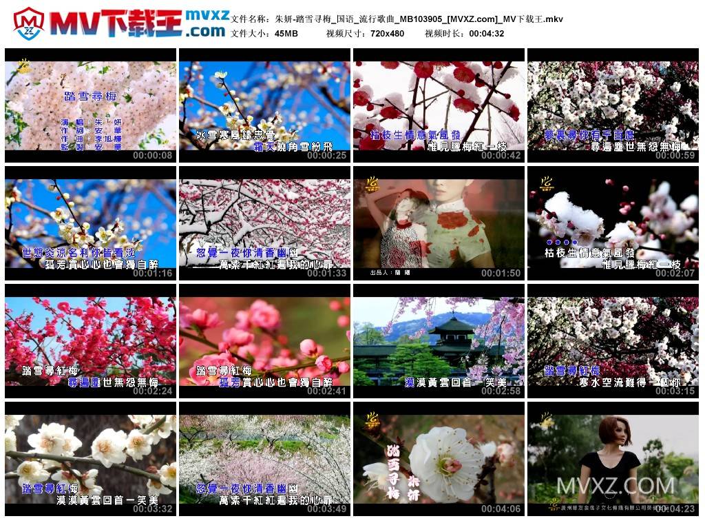 朱妍-踏雪寻梅_国语_流行歌曲_MB103905
